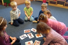IMG_20250211_080330